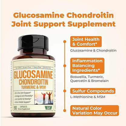 Glucosamine Chondroitin